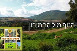 הנוף מהחצר מול הר מירון